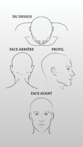 photo prise de vue tricopigmentation pour consultation